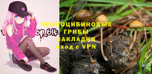 прущие крисы Няндома