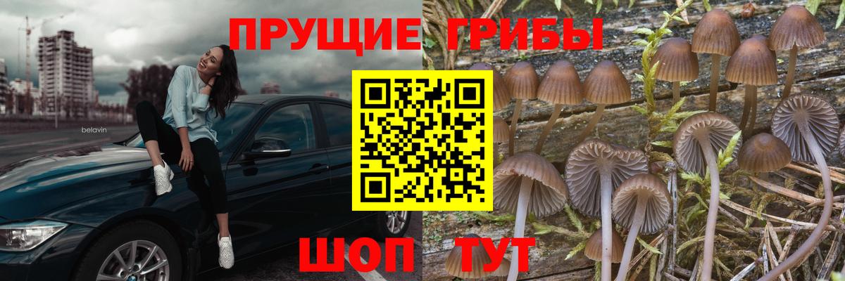 Прокопьевск  купить наркотики цена  Вход с VPN  Псилоцибиновые грибы Psilocybine cubensis 